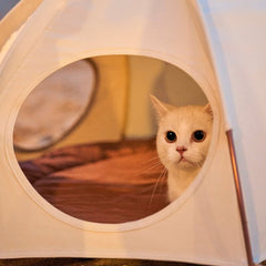 Cat Tent - LINE FRIENDS