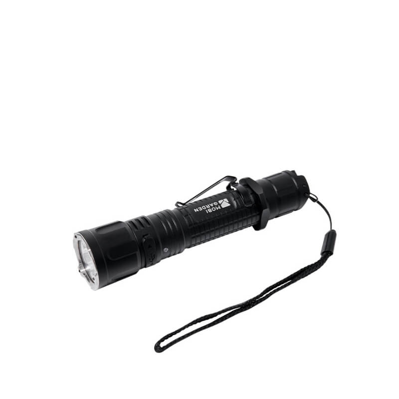 Lingying Flashlight 2200