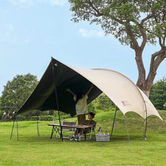 Vista Canopy D250 Tarp