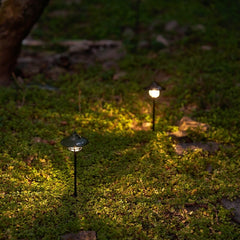 Starry Ground Stake Lights