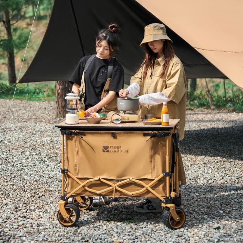 Skyline Folding Wagon 150+60 (Expandable)